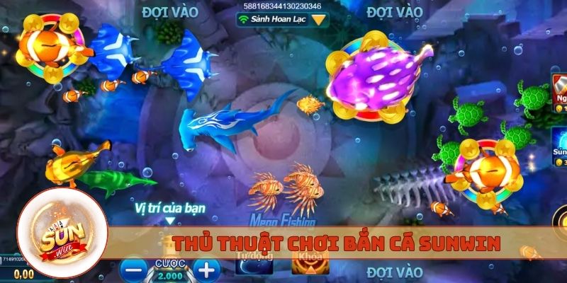 Thủ thuật chơi Bắn cá Sunwin từ ngủ thủ chuyên nghiệp